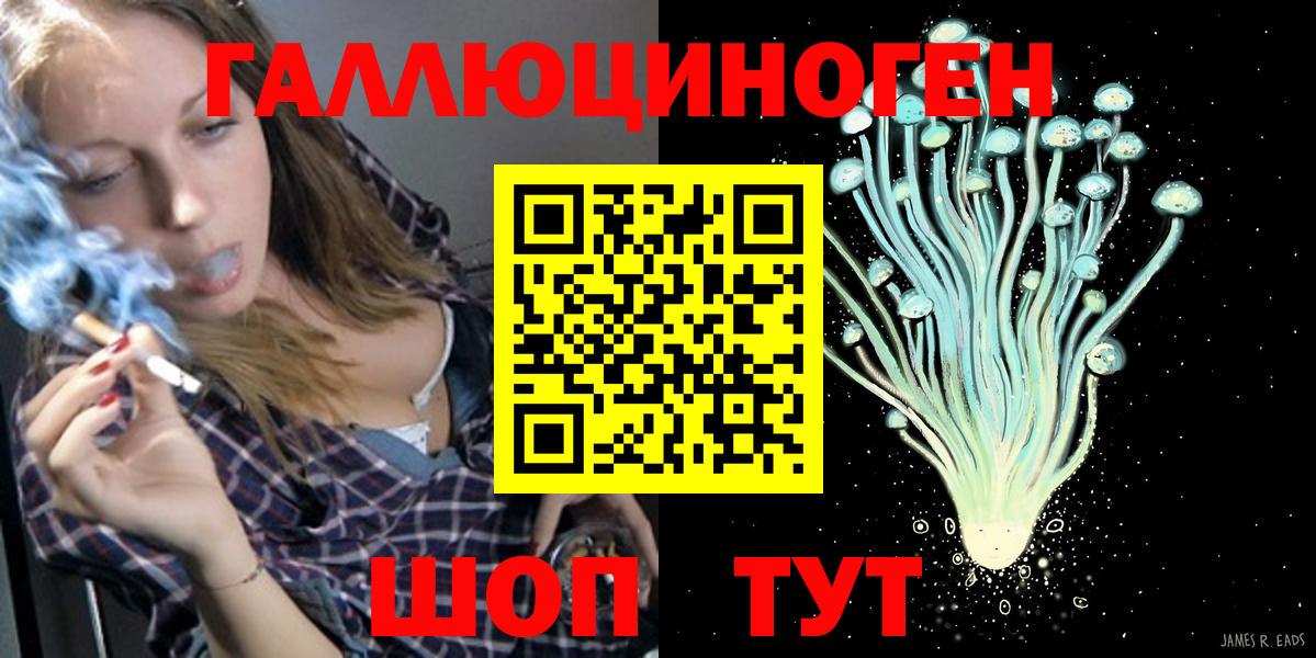 Котовск  Галлюциногенные грибы Magic Shrooms  закладка  Вход с VPN 